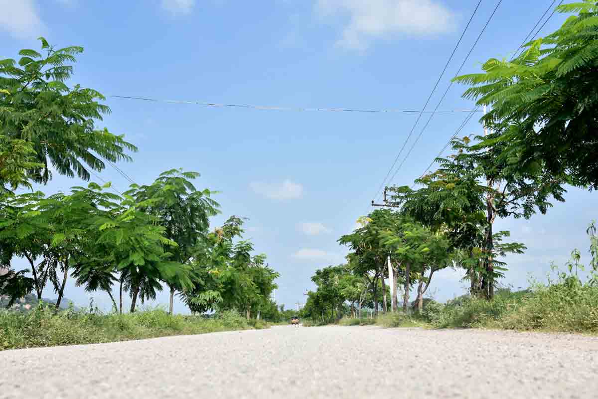 హరిత నిధి భవితకు పెన్నిధి