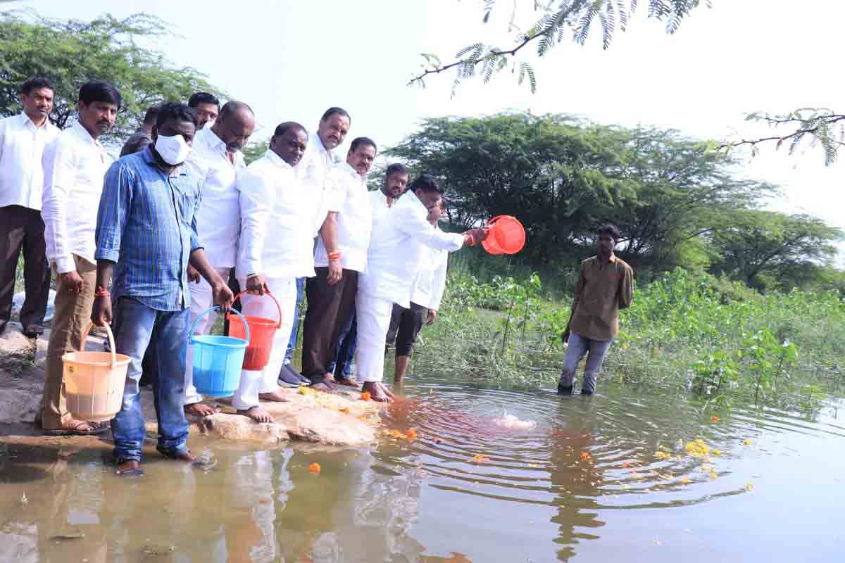 చేపలకు నగరాల్లో మంచి డిమాండ్‌..
