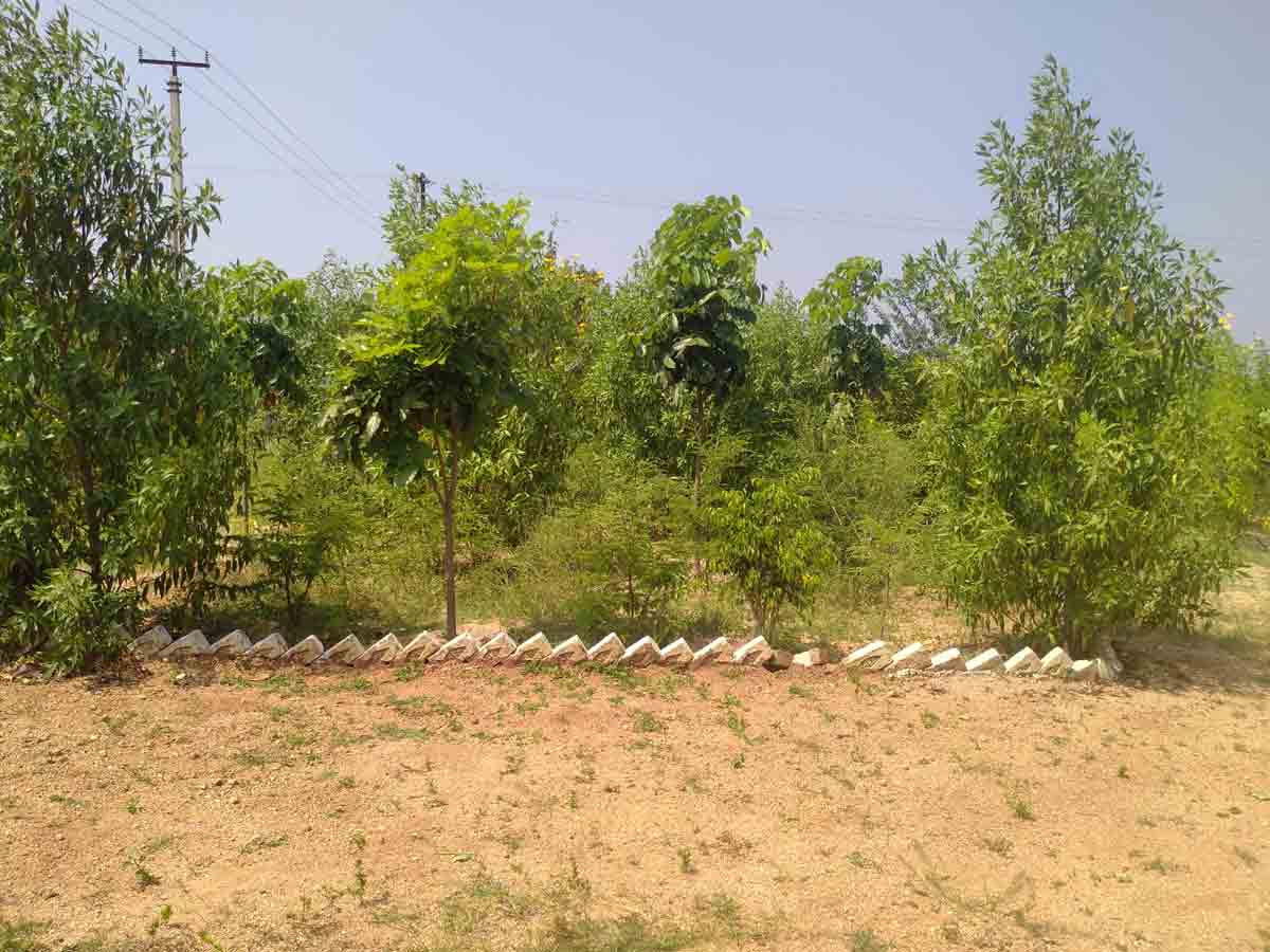 సకల సౌలతుల శ్రీనివాసపురం