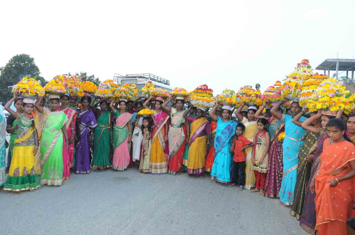 తీరొక్క పూల పండుగొచ్చింది