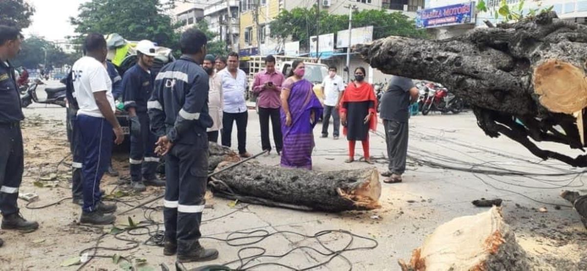 Hyderabad | కూలిన మహావృక్షం.. సకాలంలో తొలగించిన డీఆర్‌ఎఫ్‌ బృందాలు