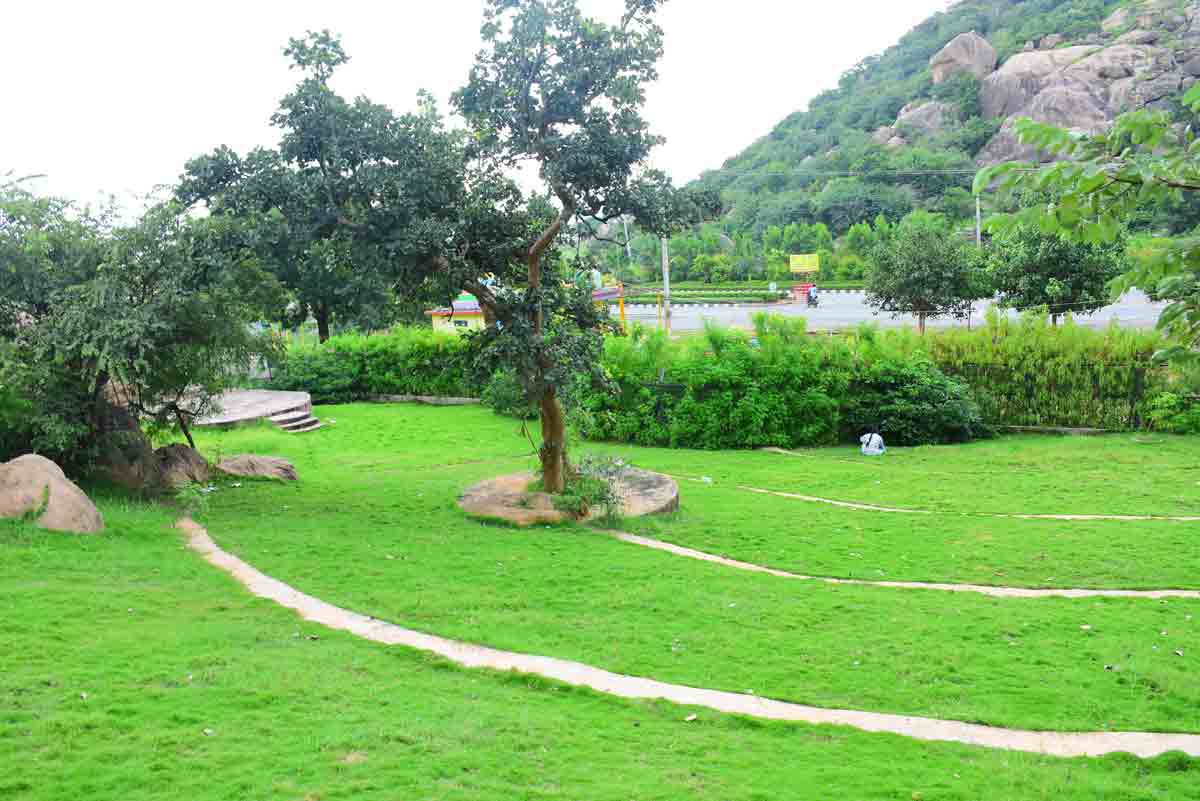 అరణ్యం.. ఆహ్లాదం