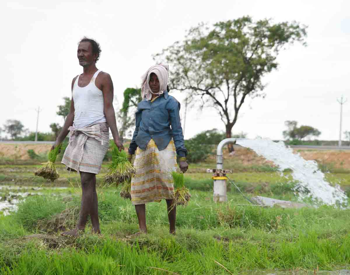 గిరిజన వికాసం