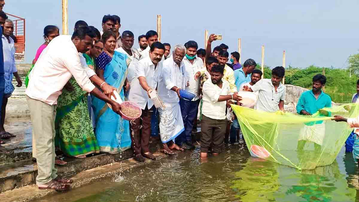 మత్స్యకారులకు చేయూత