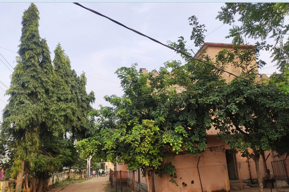 పచ్చని పోలీస్‌ స్టేషన్లు