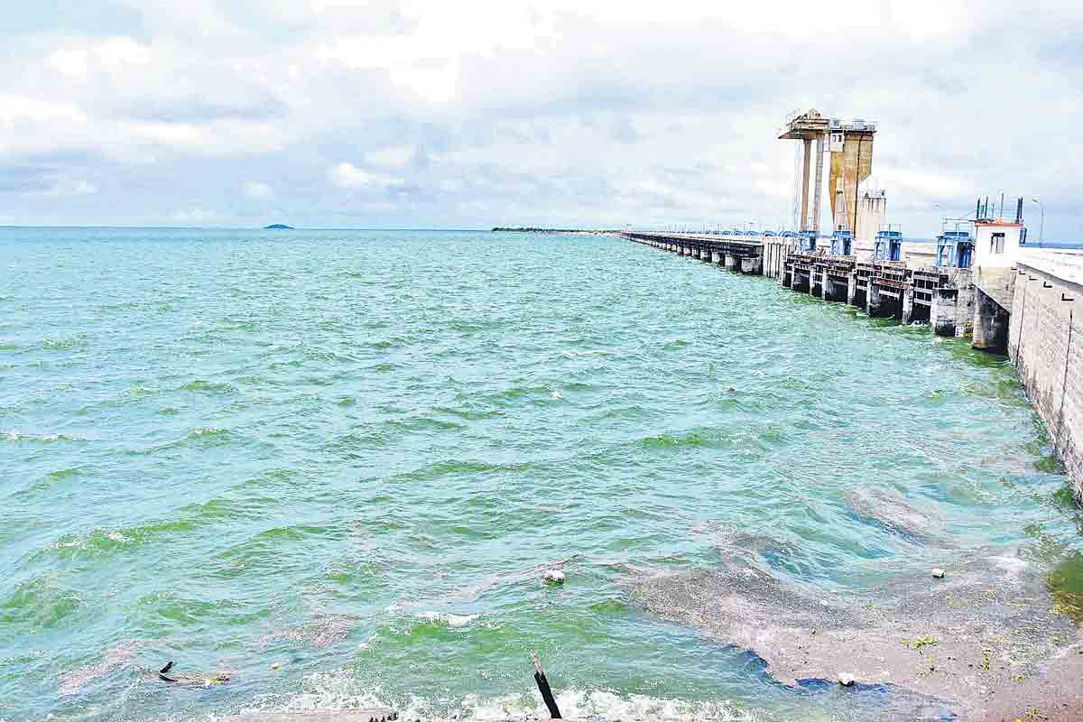 వరద వెలుగులు