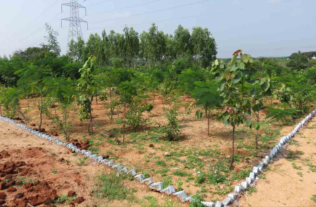 అభివృద్ధిలో ఆదర్శం పుట్టెగూడెం