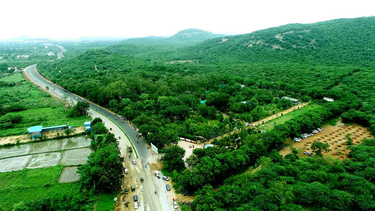 టూరిజం హబ్ గా..