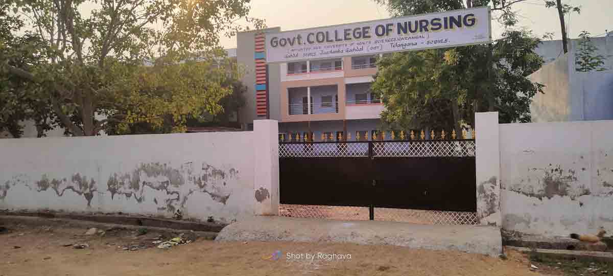 ఉన్నత విద్యవైపు.. నడిగడ్డ అడుగులు