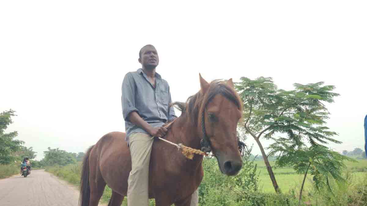 బండి అమ్మి గుర్రాలు కొని..
