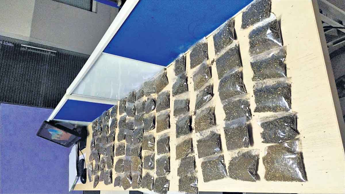 గంజాయిపై ఉక్కపాదం