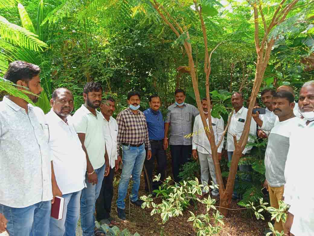 సదాశివనగర్‌ పల్లె ప్రకృతి వనం భేష్‌ : కేంద్ర బృందం సభ్యుల ప్రశంసా
