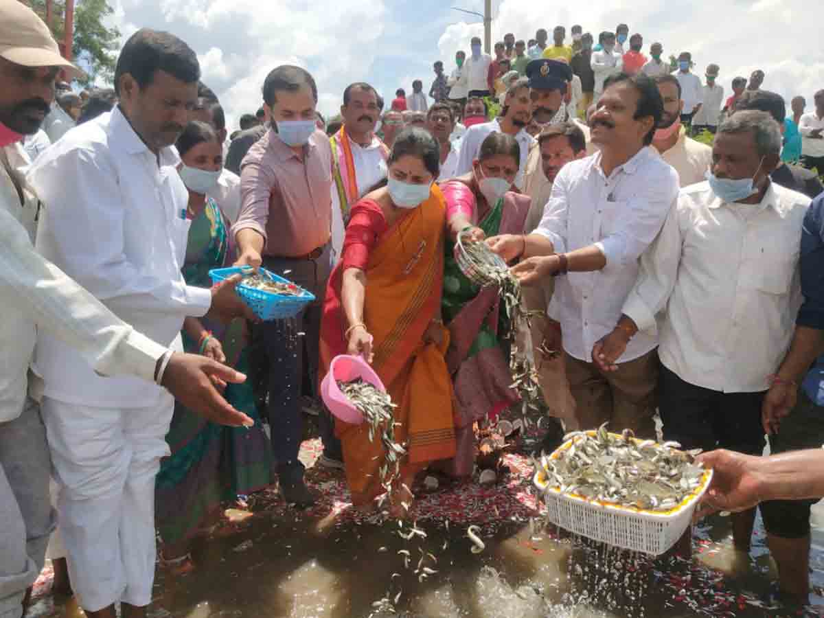మత్స్యకారుల జీవితాల్లో కొత్త వెలుగులు