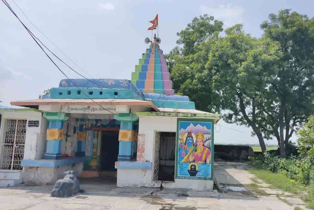 పరవశించే పచ్చదనం