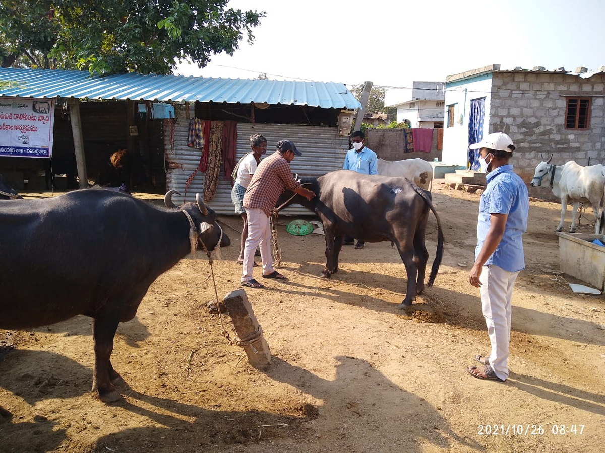 జీవాల సంరక్షణపై.. ప్రత్యేక శ్రద్ధ