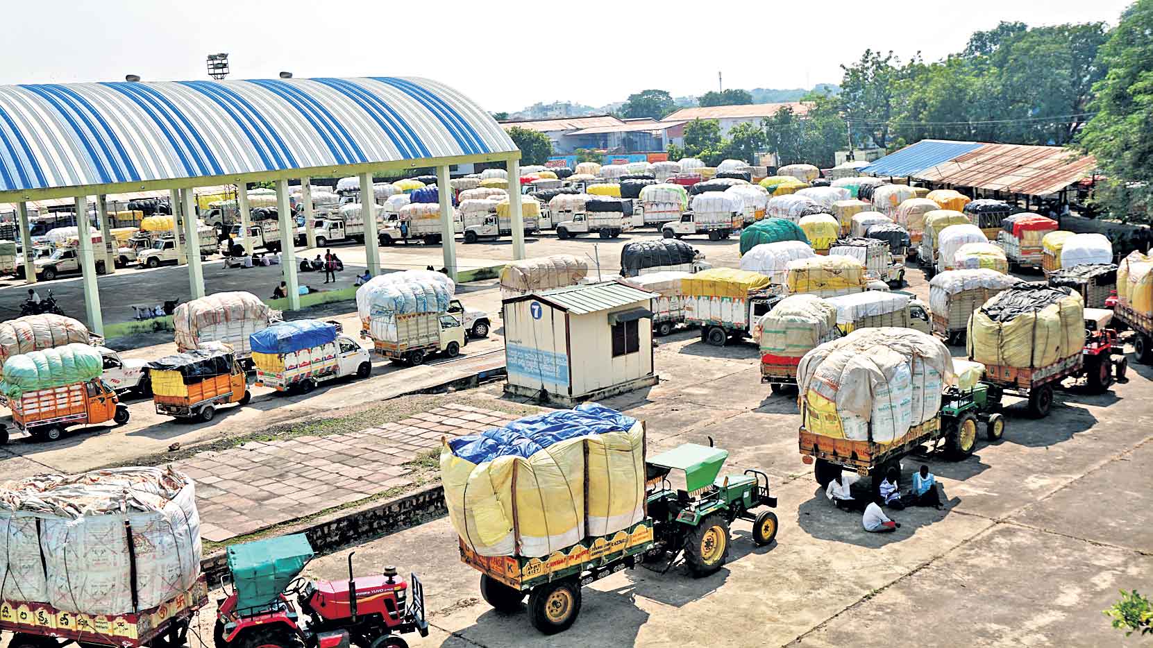 తెల్లబంగారం @ 7,970