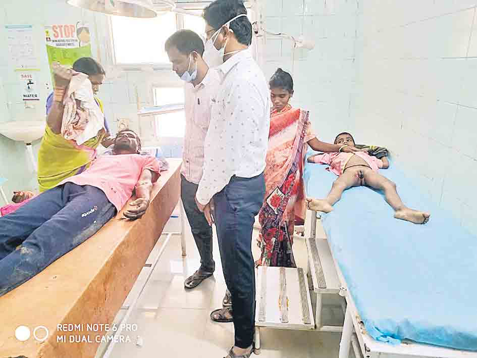 పిచ్చికుక్కల స్వైర విహారం..