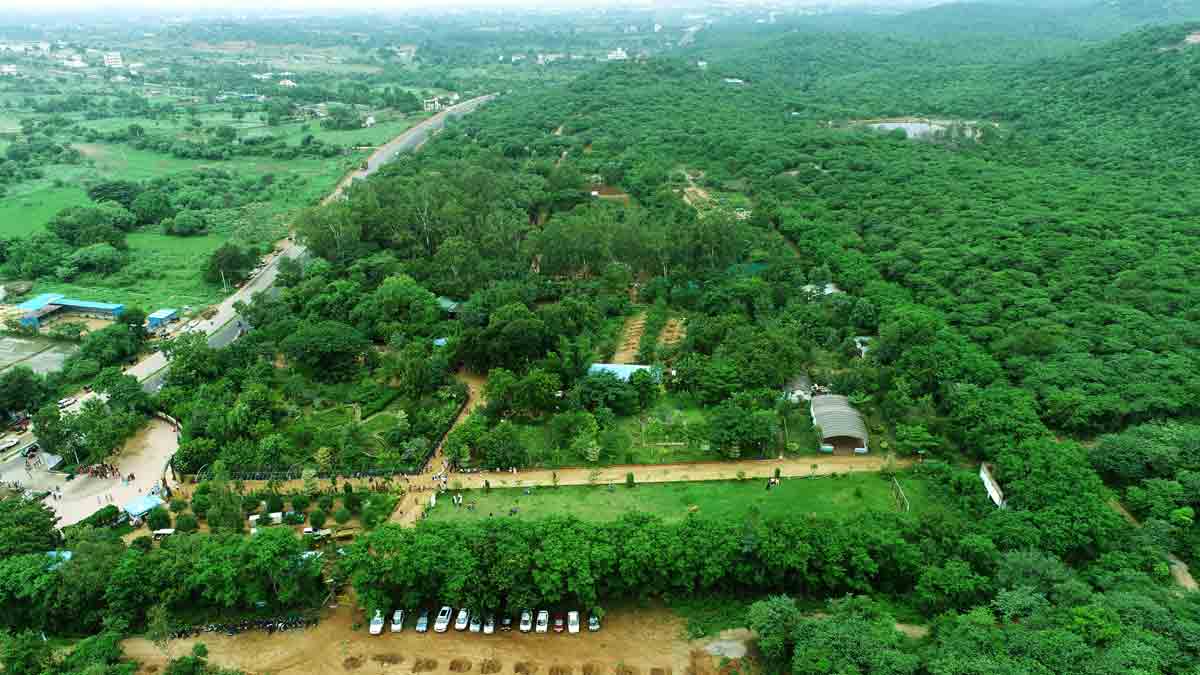 పరిఢవిల్లనున్న పచ్చదనం
