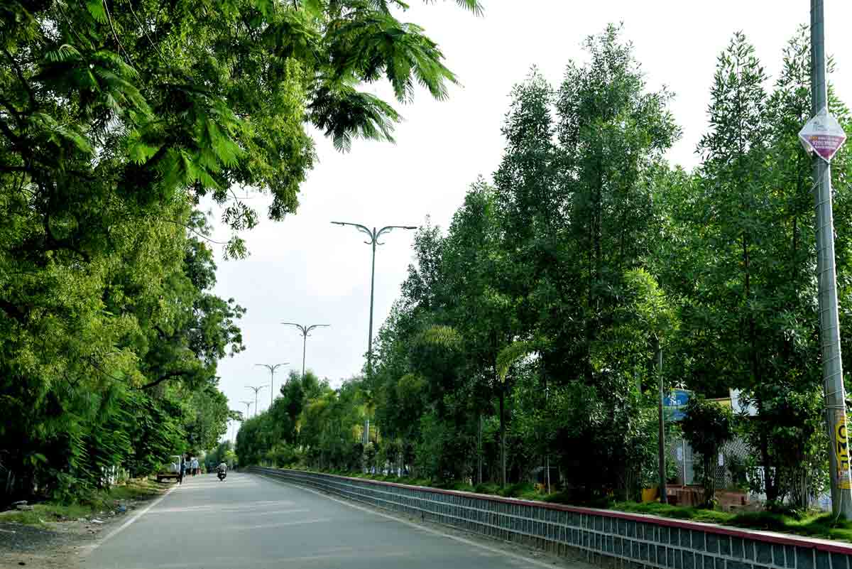 హరితనిధికి.. మేము సైతం