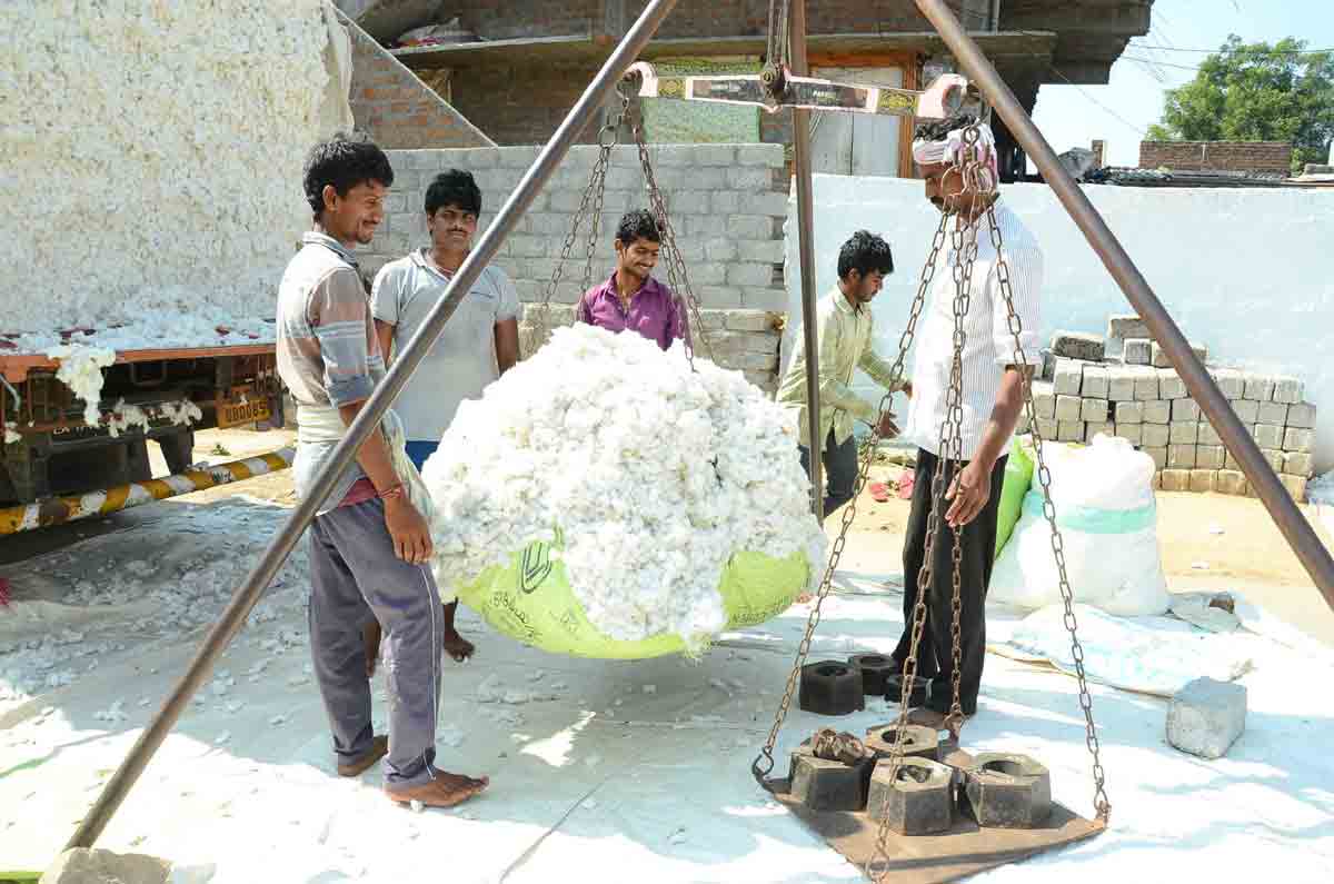 డిమాండ్‌ ఉన్న పంటలే మేలు