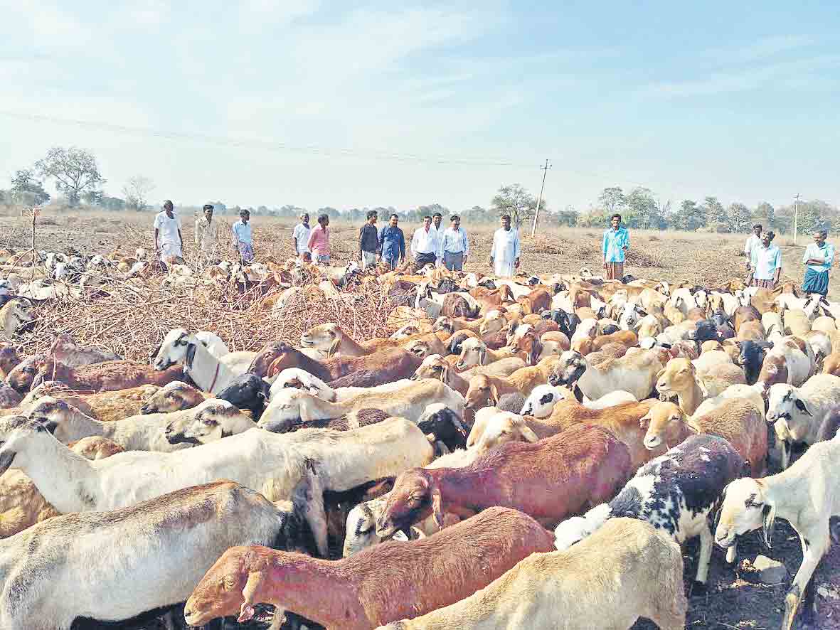 మరింత లబ్ధి!