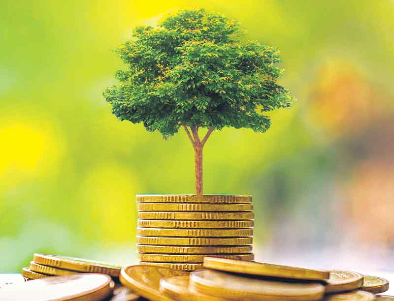 హరిత నిధి మనిషి విధి