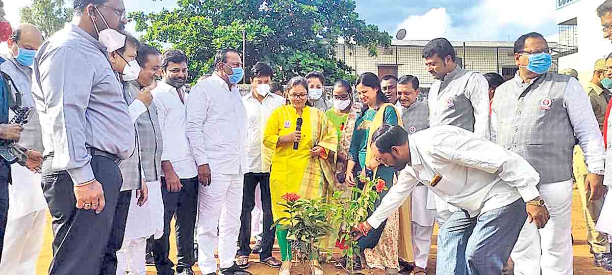 మొక్కలు నాటిన మంత్రి మల్లారెడ్డి