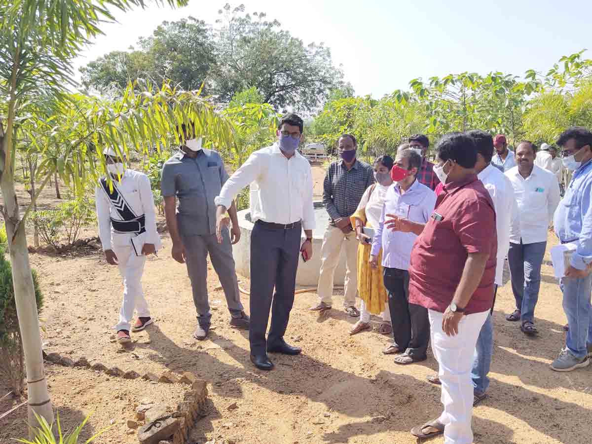 పల్లె ప్రకృతి వనాన్ని ప్రశంసించిన కలెక్టర్..