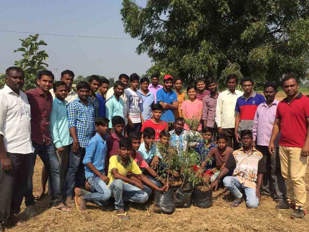 పచ్చదనం కోసం పరితపించి..