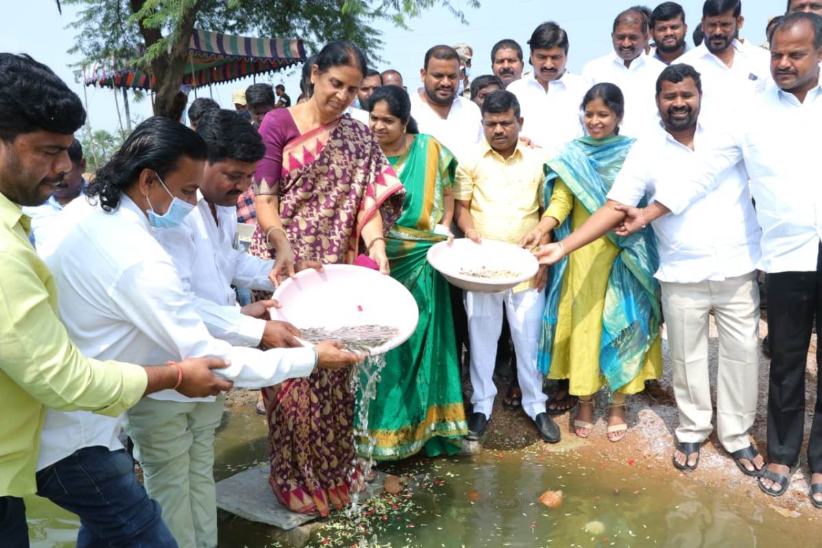 Fish |తెలంగాణ రాష్ట్రంలో చేపలకు కొదవ లేదు : మంత్రి పి సబితా ఇంద్రారెడ్డి