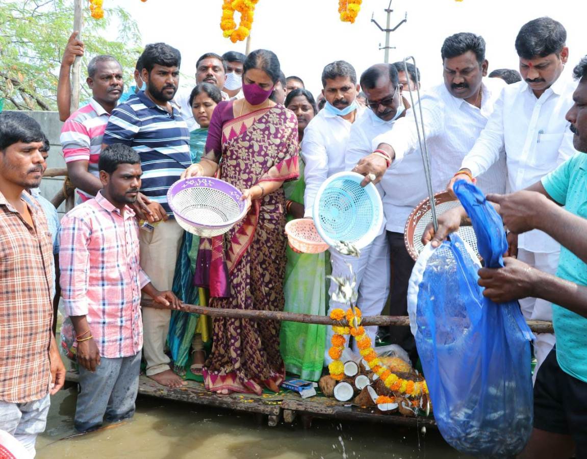 fish | కులవృత్తులకు పెద్దపీట వేస్తున్న తెలంగాణ సర్కార్‌ : మంత్రి సబితాఇంద్రారెడ్డి