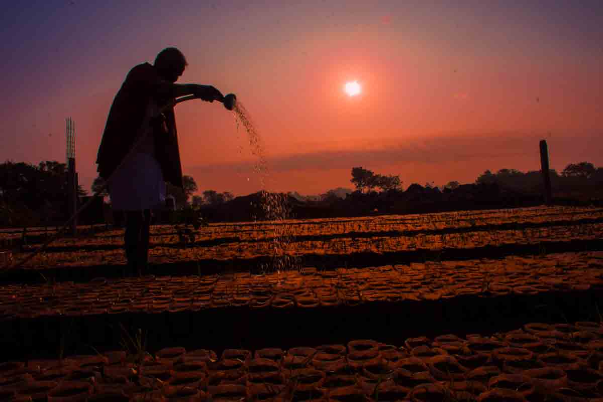 467 నర్సరీలు .. 77 లక్షల మొక్కలు