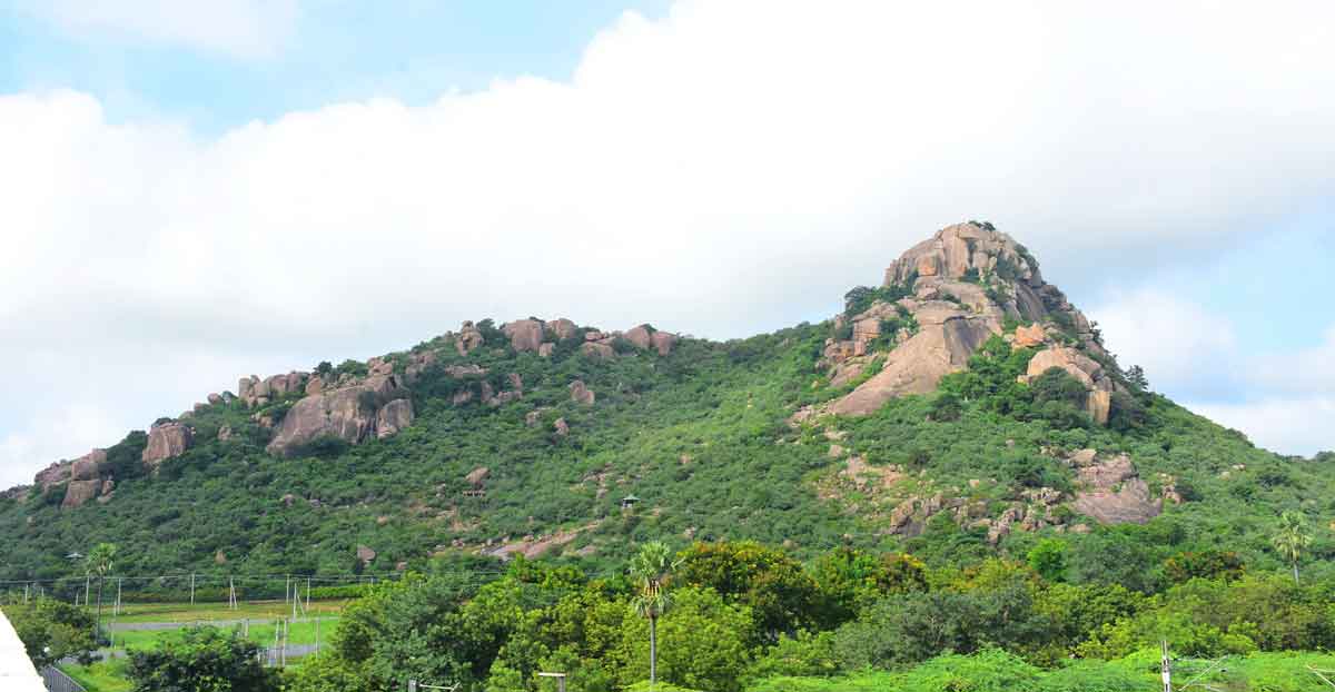 కాలుష్యం కట్టడి