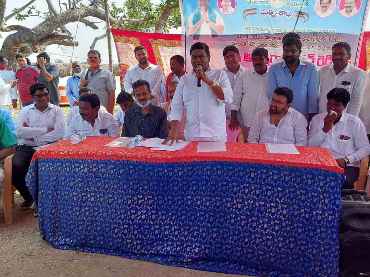 మత్స్యకారుల అభివృద్ధికి వందశాతం సబ్సిడీపై చేపపిల్లలు