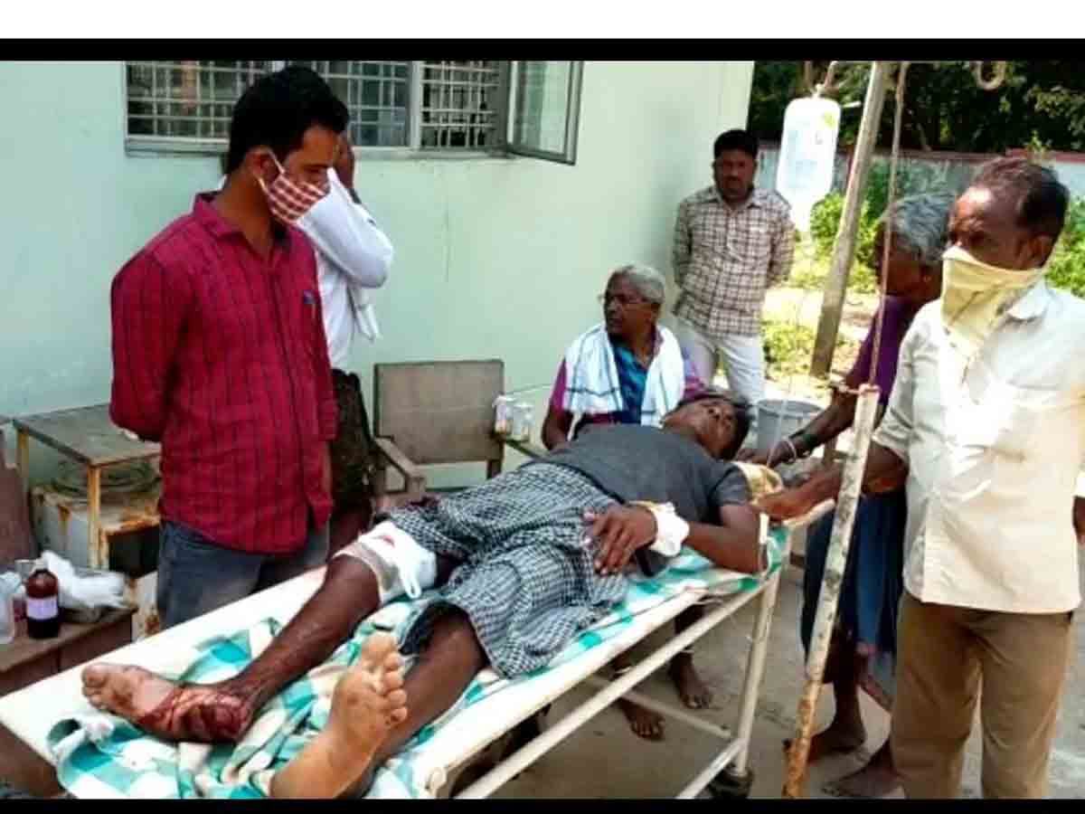 పూలకు వెళ్లిన వ్యక్తిపై ఎలుగుబంటి దాడి..