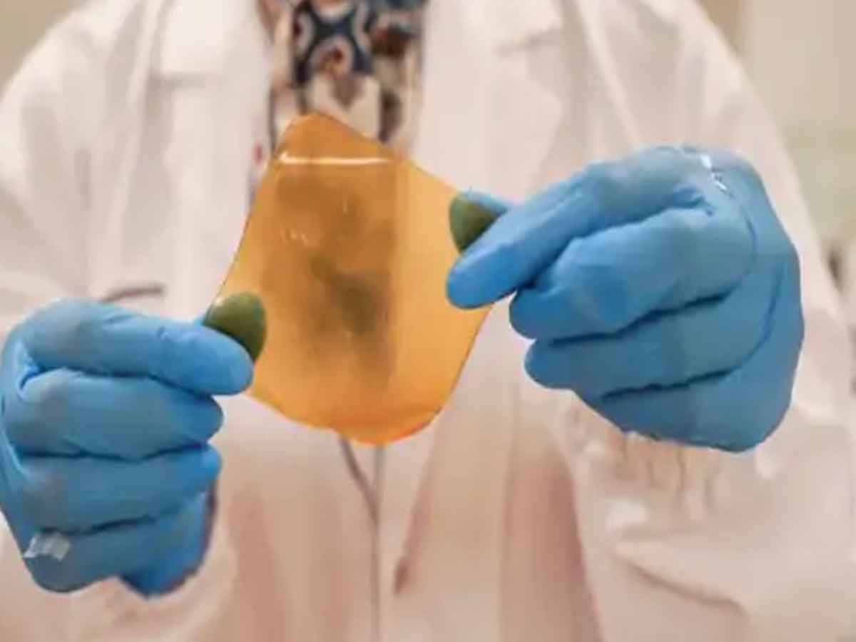 New Bandage : పండ్ల వ్యర్థాల నుంచి కొత్త రకం బ్యాండేజీ.. సింగపూర్‌ శాస్త్రవేత్తల సృష్టి