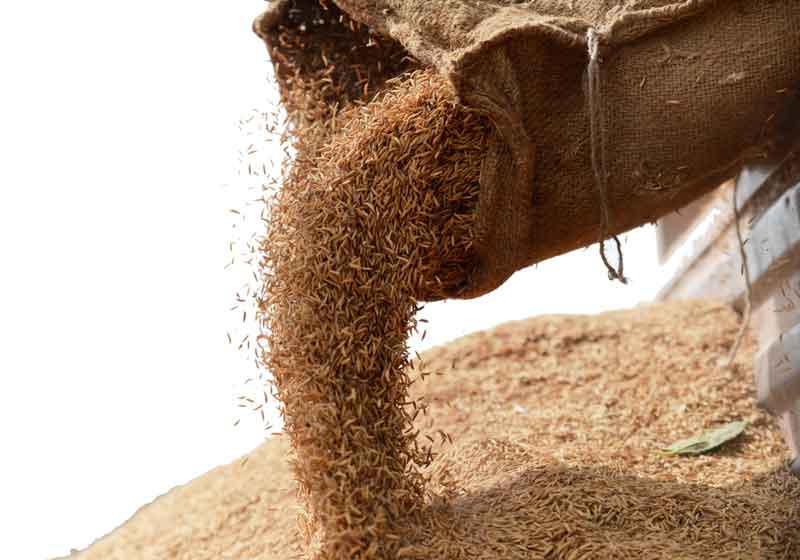 వడ్లు కొనుడే