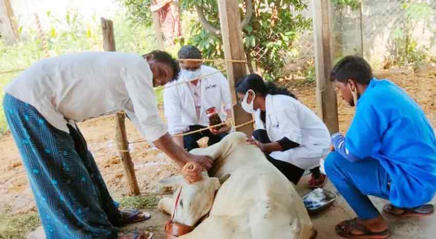 పశువుల చెంతకే వైద్యం
