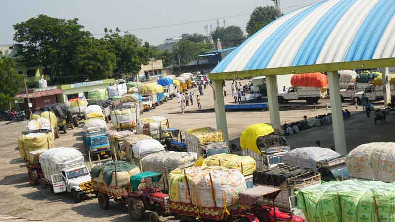 తెల్ల బంగారం