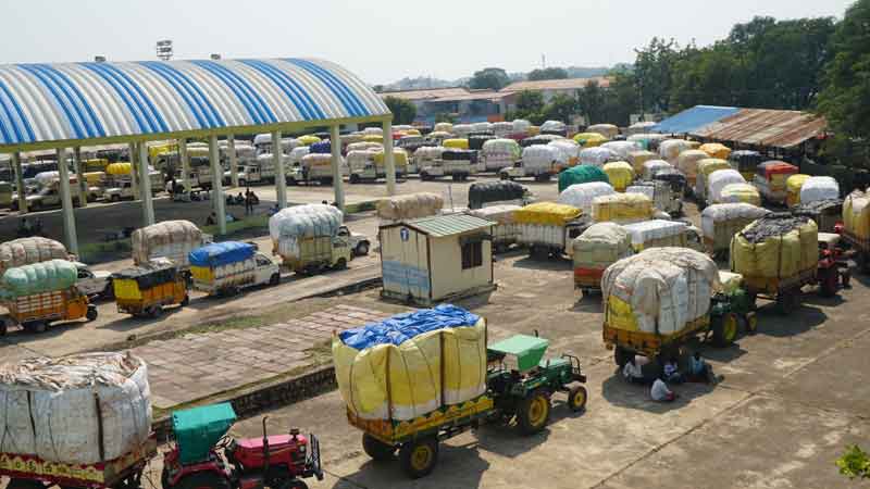 పత్తి @ 7970