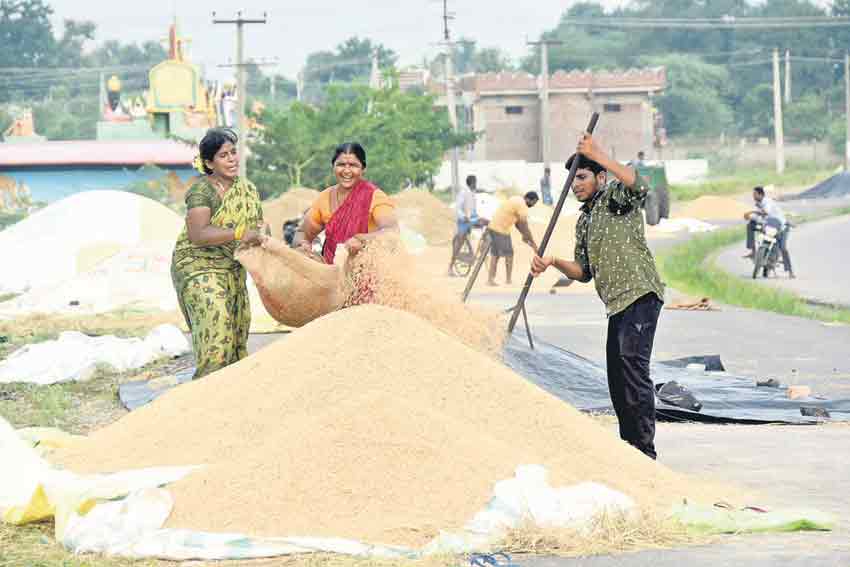 నాడు దండుగ.. నేడు పండుగ