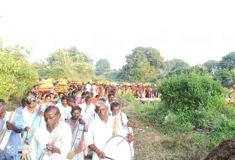 సద్దుల సంబురం..