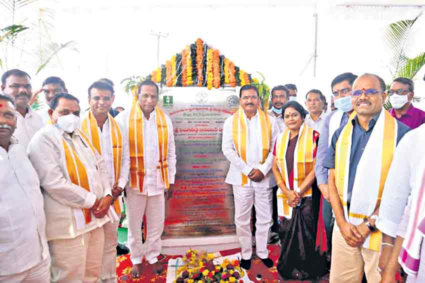 విత్తనాల్లేకుండానే మొక్కల పునరుత్పత్తి