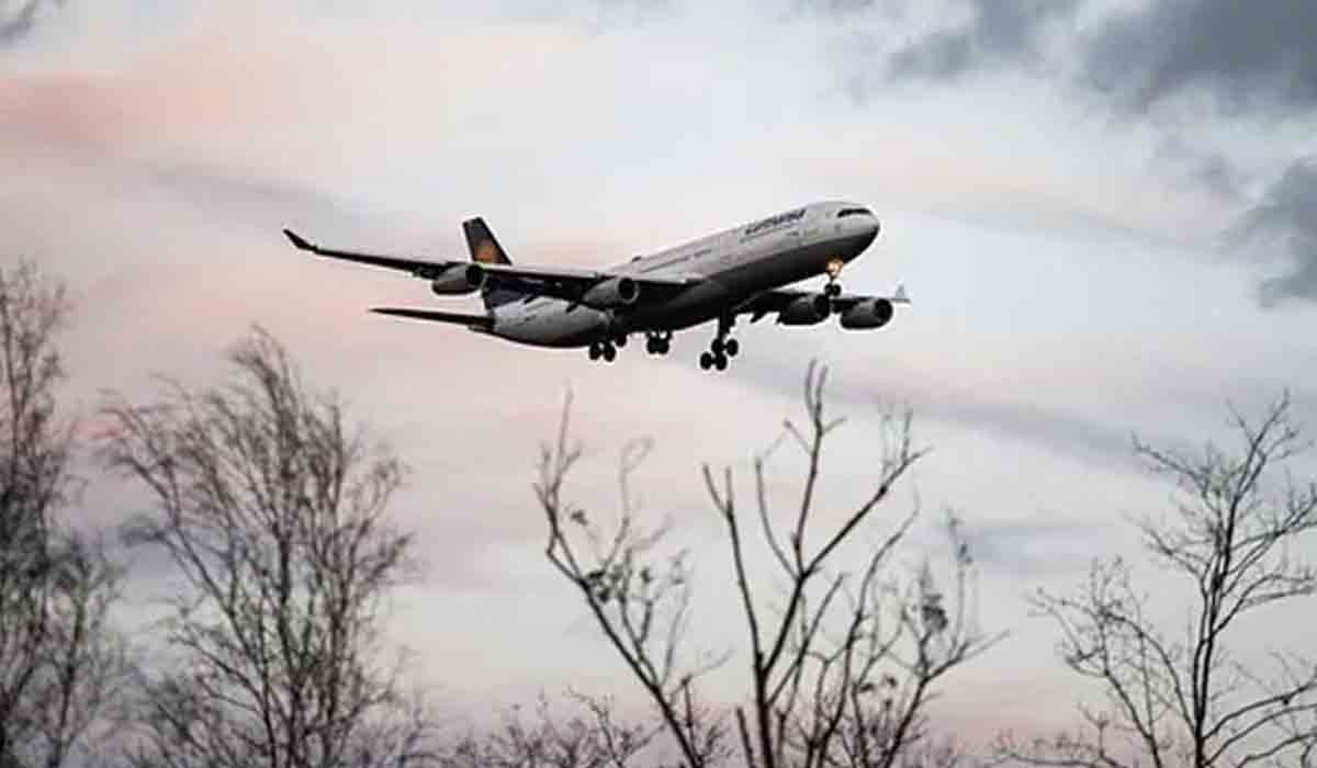 విమానం నుంచి ప‌డిపోయిన మాన‌వ వ్య‌ర్థాలు.. షాకైన తోట య‌జ‌మాని