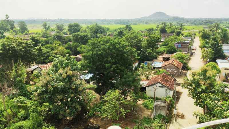 పల్లెకు పచ్చందాలు