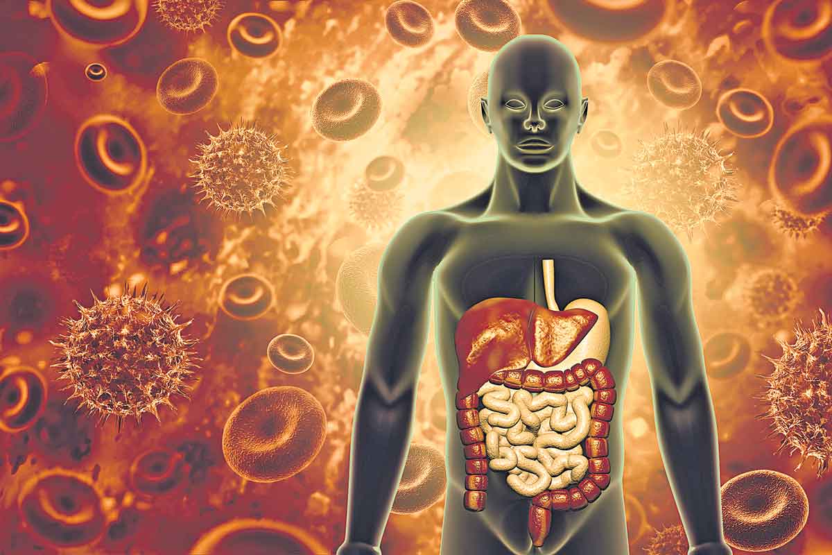 Corona Gangrene | కరోనా కక్ష.. కొవిడ్‌ గ్యాంగ్‌లో.. గ్యాంగ్రీన్‌!