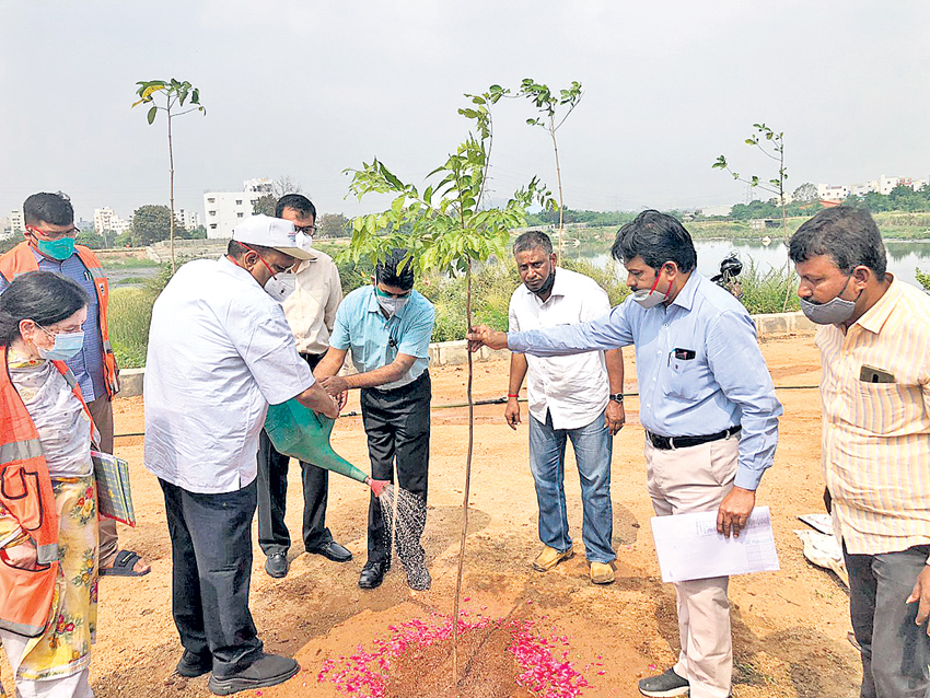 జలసిరి.. హరిత నిధి..