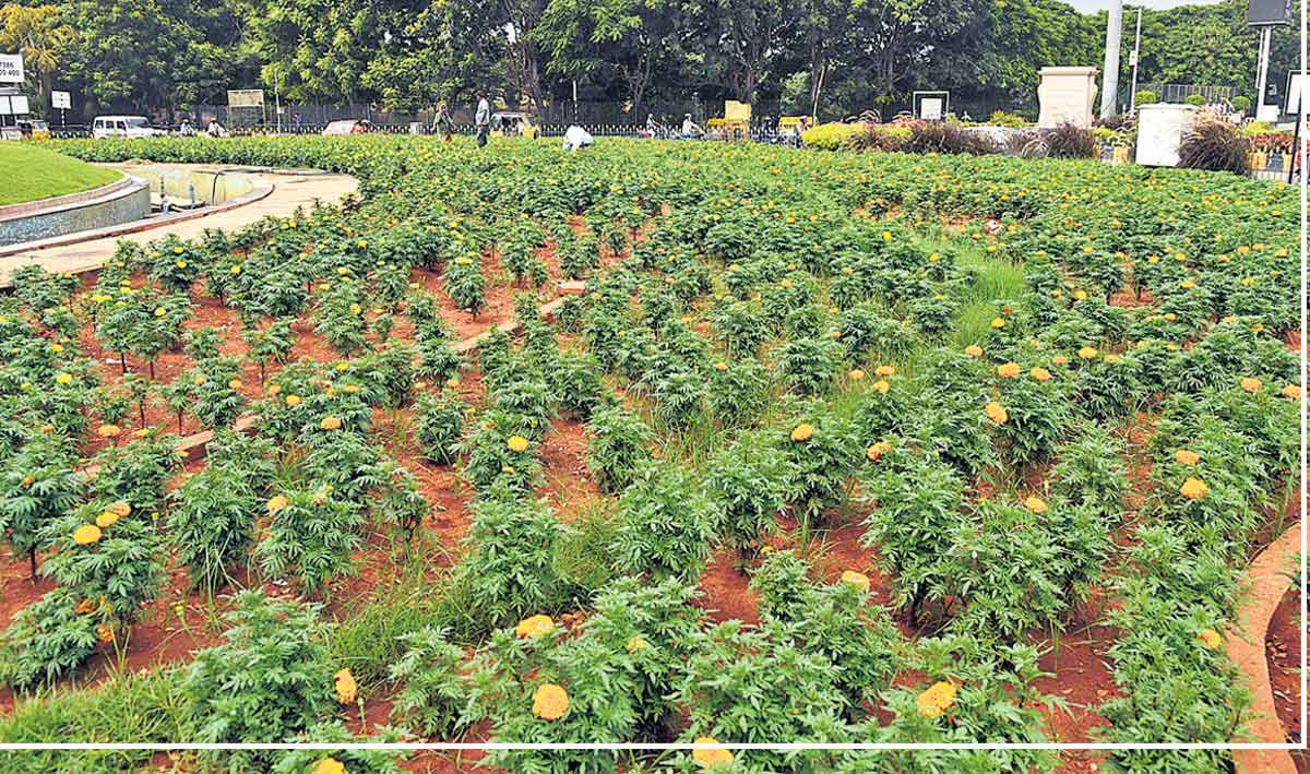 93 లక్షల మొక్కలు నాటిన జీహెచ్‌ఎంసీ