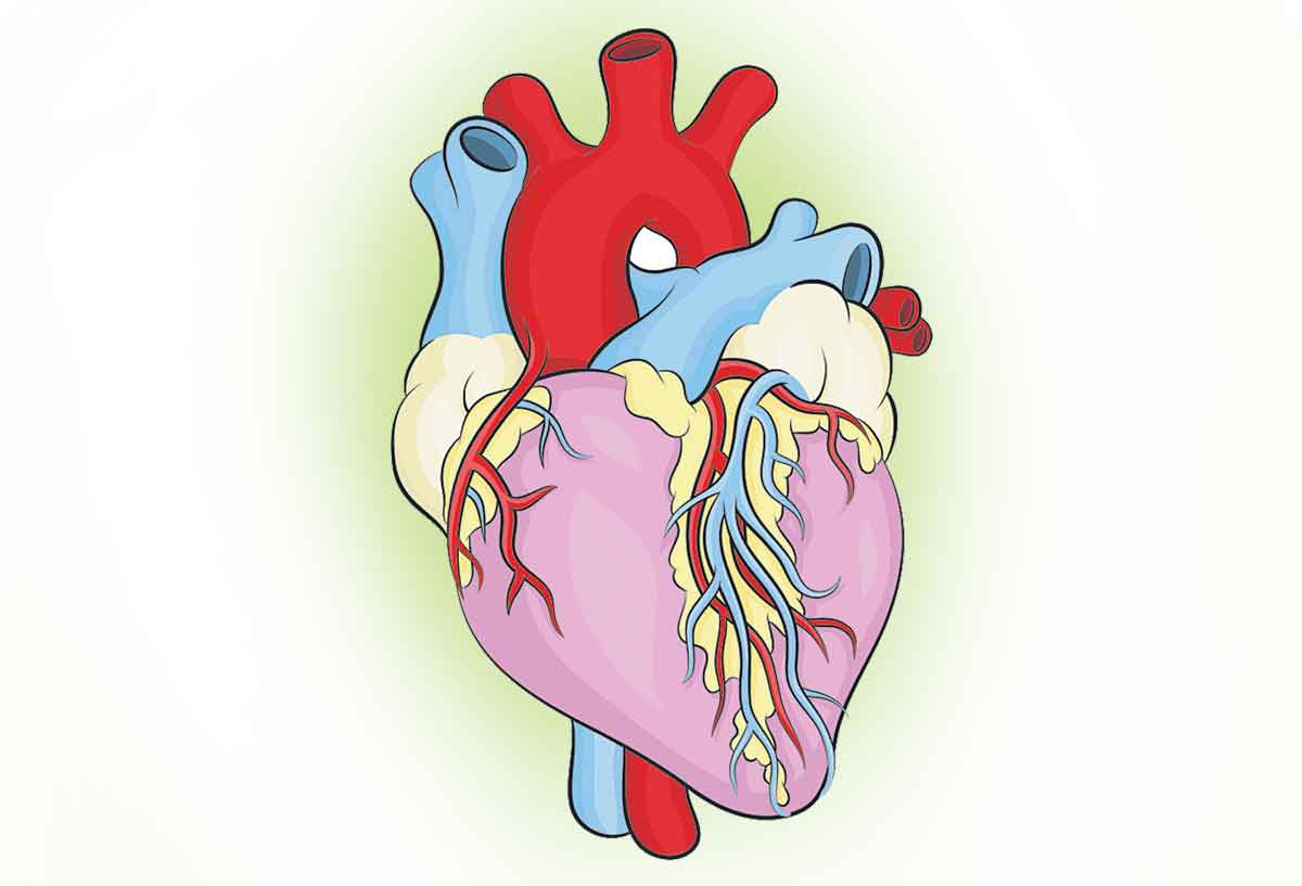 హైరిస్క్‌ రోగులకు సర్కారు సాంత్వన