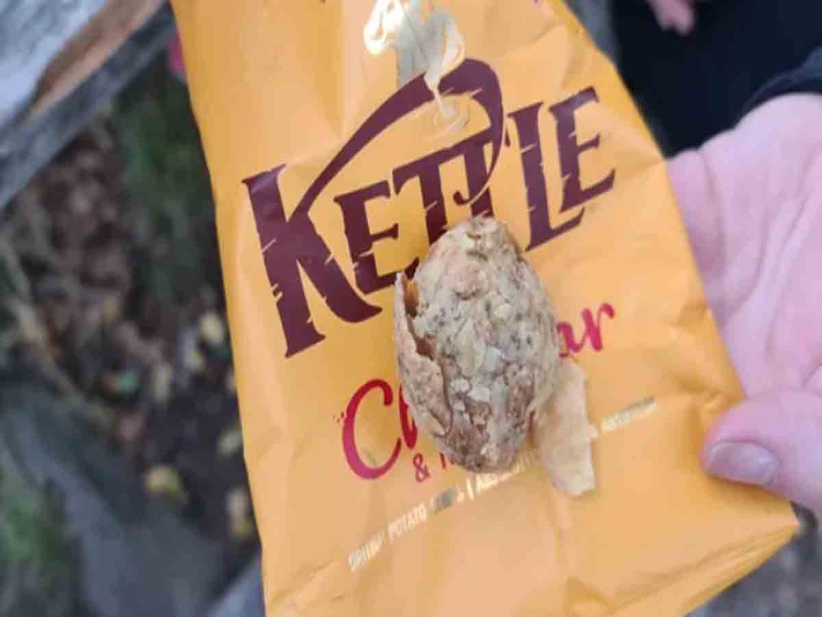 చిప్స్‌ ప్యాకెట్‌లో.. చిప్స్‌కు బదులు ఏమున్నదంటే?